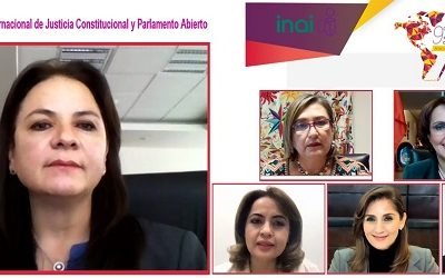 INAI Y FISCALÍAS ANTICORRUPCIÓN NO PUEDEN SER MOTÍN DE NADIE: DEL RÍO VENEGAS