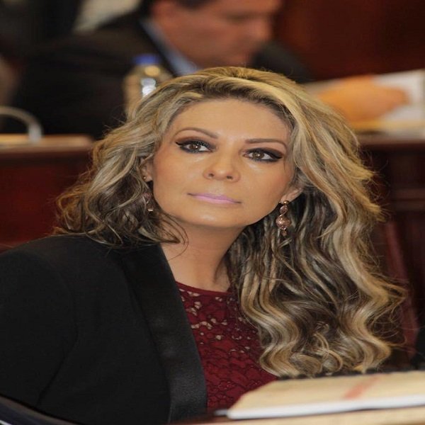 PRD CDMX ENTREGA AL IECM PLATAFORMA ELECTORAL EN DEFENSA DE ÓRGANOS AUTÓNOMOS Y PERSPECTIVA DE GÉNERO: NORA  ARIAS