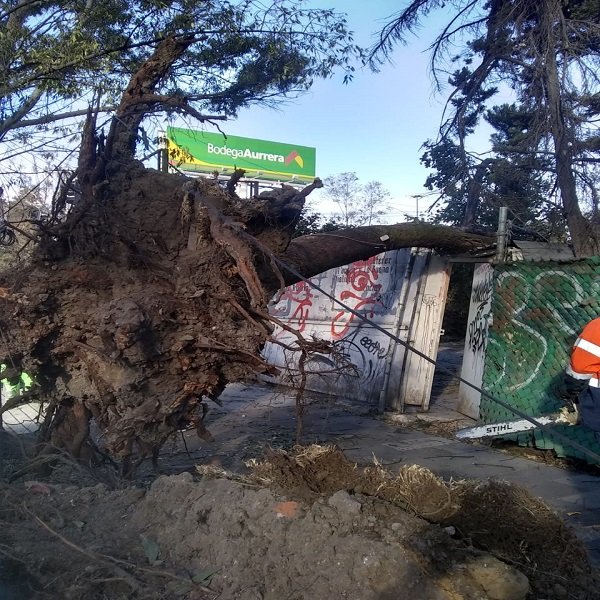 Dolores deja daños en 11 puntos de Guerrero