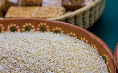 Respalda Pleno del Senado proyecto para promover consumo de amaranto