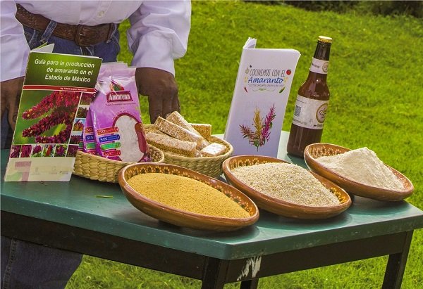 OCUPA EDOMÉX TERCER LUGAR NACIONAL EN PRODUCCIÓN DE AMARANTO