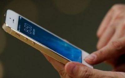 Exposición a ondas electromagnéticas de celular y WiFi causan daños en seres vivos: investigación del IPN