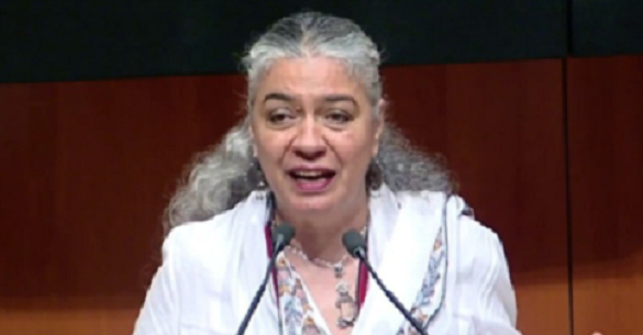 APRUEBAN EN COMISIÓN NOMBRAMIENTO DE MARÍA ELVIRA CONCHEIRO COMO TESORERA DE LA FEDERACIÓN