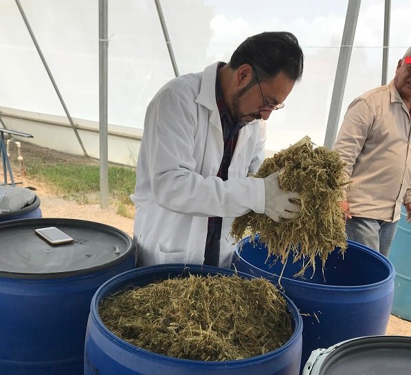 CONTRIBUIRÁ IPN A MEJORAR CALIDAD DE LA LECHE