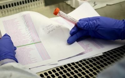 Con células madre, el IPN avanza en la regeneración de huesos, cartílago y tejido muscular