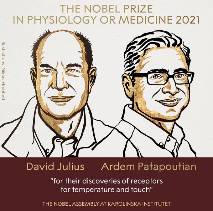 David Julius y Ardem Patapoutian, los ganadores del Premio Nobel de Medicina de 2021