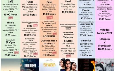 PROYECTA CINETECA MEXIQUENSE PELÍCULAS DE FOROS NACIONALES E INTERNACIONALES*