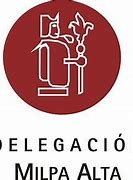 ALCALDÍA CON VALORES, NUEVA FORMA DE GOBERNAR MILPA ALTA: JUDITH VANEGAS