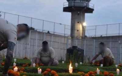 LA TIENDA DEL SISTEMA PENITENCIARIO DE LA CDMX, PONE A LA VENTA FLORES DE CEMPASÚCHIL CULTIVADAS POR PERSONAS PRIVADAS DE LA LIBERTAD*