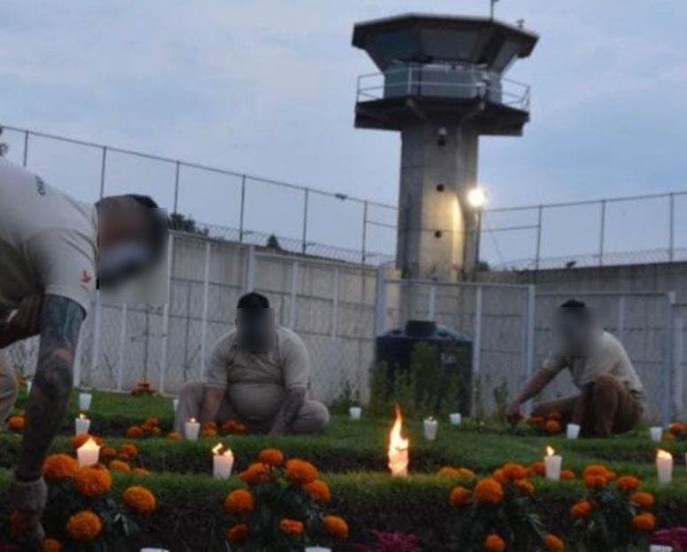 LA TIENDA DEL SISTEMA PENITENCIARIO DE LA CDMX, PONE A LA VENTA FLORES DE CEMPASÚCHIL CULTIVADAS POR PERSONAS PRIVADAS DE LA LIBERTAD*