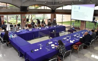 Ventajas del Presupuesto Participativo: IECM