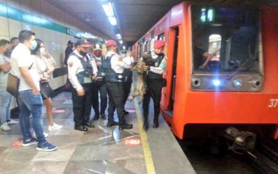 En 7 años, en el Metro lograron rescatar a 585 perros en peligro