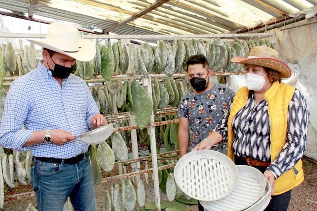IMPULSA GEM POTENCIAL DE ASOCIACIONES LOCALES DE PRODUCTORES RURALES