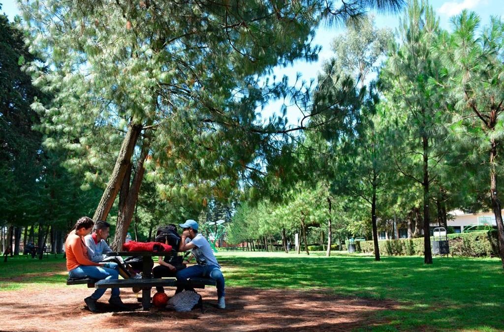 AUMENTA A 80 POR CIENTO AFORO EN PARQUES, ÁREAS NATURALES PROTEGIDAS Y ZOOLÓGICOS DEL EDOMÉX