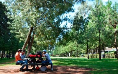 AUMENTA A 80 POR CIENTO AFORO EN PARQUES, ÁREAS NATURALES PROTEGIDAS Y ZOOLÓGICOS DEL EDOMÉX