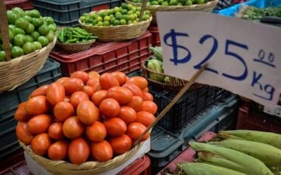 Próxima semana AMLO dará a conocer plan antiinflacionario; adelanta que 24 productos básicos tendrán el mismo precio en todo el país.