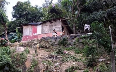 De 2018 a 2024 salieron de la pobreza 13.4 millones: Inegi