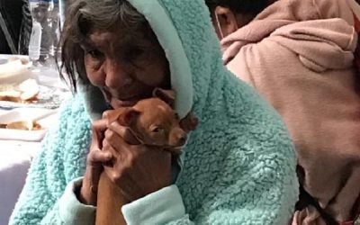 Emite Gobierno del EdoMéx recomendaciones a familias y cuidado para seres sintientes en esta temporada de frío