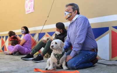 SE GRADÚAN PERROS QUE ERAN AFECTADOS POR PIROTÉCNIA