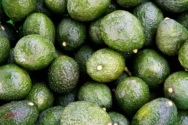 Logran acuerdo para reactivar exportación de aguacate a EU