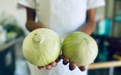 ES INDISPENSABLE CONSUMIR VITAMINAS ANTE LA TEMPORADA INVERNAL