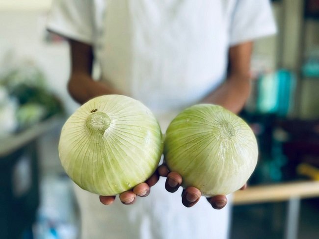 ES INDISPENSABLE CONSUMIR VITAMINAS ANTE LA TEMPORADA INVERNAL