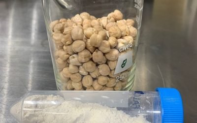 Investiga IPN actividad protectora del garbanzo contra cáncer de colon