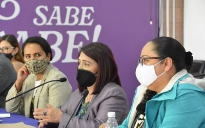 Buscan IECM y CDHCDMX fortalecer los derechos político electorales de la ciudadanía