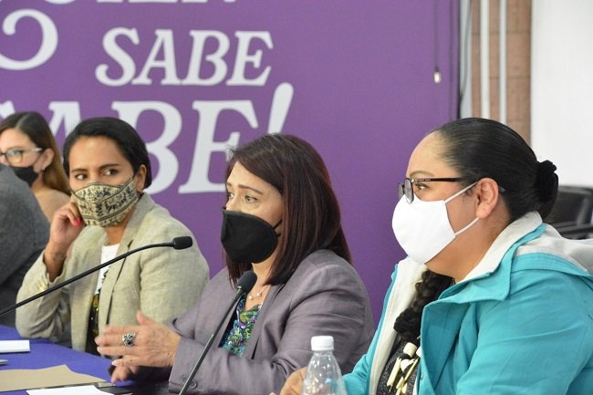 Buscan IECM y CDHCDMX fortalecer los derechos político electorales de la ciudadanía