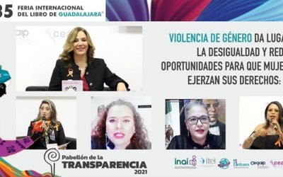 VIOLENCIA DE GÉNERO DA LUGAR A LA DESIGUALDAD Y REDUCE OPORTUNIDADES PARA QUE MUJERES EJERZAN SUS DERECHOS: INAI