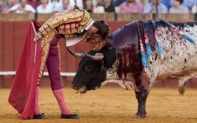 Notifica SCJN autorización para reanudar corridas de toros en Plaza México