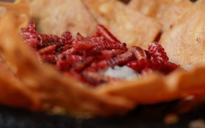 OFRECE GASTRONOMÍA MEXIQUENSE SABORES ÚNICOS AL PALADAR