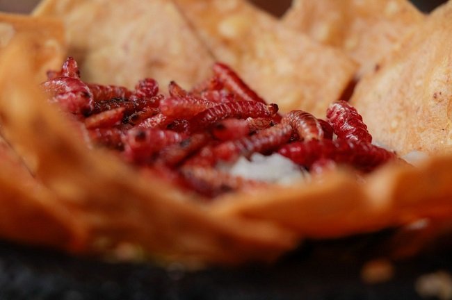 OFRECE GASTRONOMÍA MEXIQUENSE SABORES ÚNICOS AL PALADAR