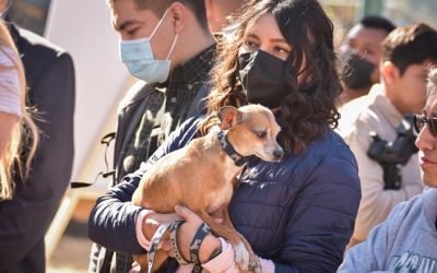 Los seres sintientes no son juguetes para regalar en Navidad; recomienda Cepanaf la adopción responsable de animales de compañía