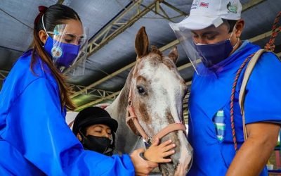 EXHORTAN A DONAR EN BENEFICIO DE MENORES CON DISCAPACIDAD A TRAVÉS DE TERAPIA EQUINA
