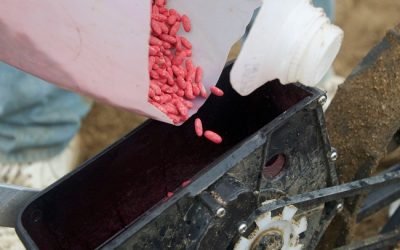  “Va a arder Zacatecas”, advierten frijoleros tras romper negociaciones con gobierno