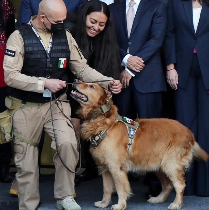 Diputados despiden a “Lucas”, elemento canino que brindó sus servicios por seis años en la Cámara baja