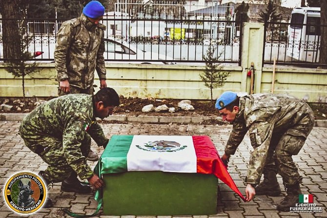 Rinden homenaje a Proteo, perro rescatista que murió en Turquía