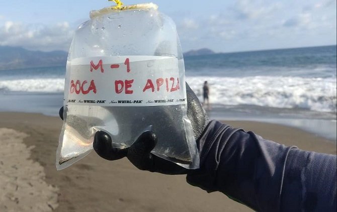 Cofepris certifica que 286 playas del país son aptas para uso recreativo en Semana Santa