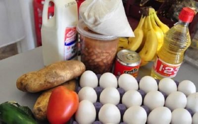 MÉXICO, EL PAÍS DE LA OCDE EN EL QUE MÁS SE HAN ENCARECIDO LOS ALIMENTOS: MORENO CÁRDENAS