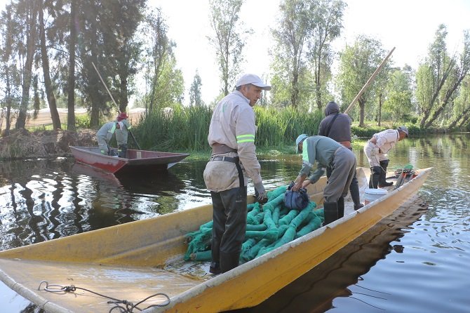 INTENSIFICA ALCALDÍA XOCHIMILCO LIMPIEZA DE CANALES