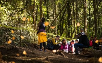RECOMENDACIONES PARA VISITAR LOS SANTUARIOS DE LA MARIPOSA MONARCA