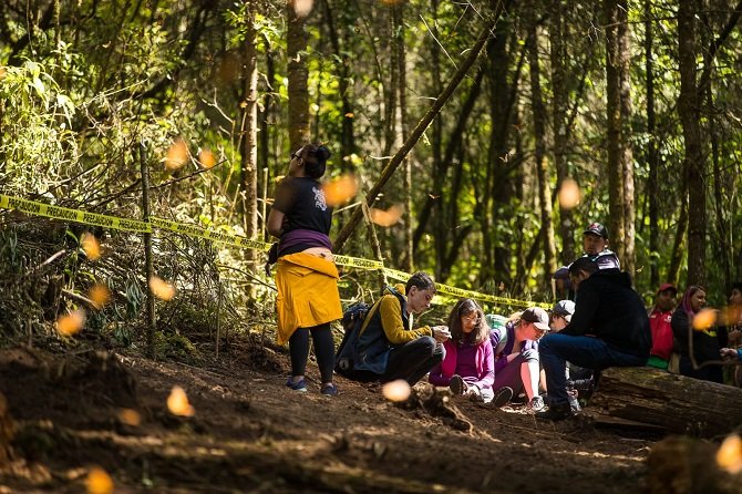 RECOMENDACIONES PARA VISITAR LOS SANTUARIOS DE LA MARIPOSA MONARCA