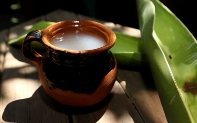 REALIZA IIFAEM CATA DE PULQUE, VINOS Y LICORES EN LA TIENDA DE ARTESANÍAS “CASART” DE OTUMBA
