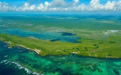 Acércate a descubrir las 186 Áreas Naturales Protegidas de México
