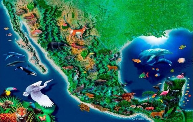 Crecer 3 por ciento del PIB en México no es difícil, es solo aplicar políticas públicas correctas