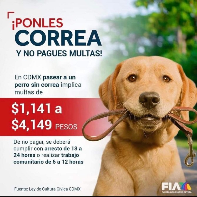 Evita ser sancionado