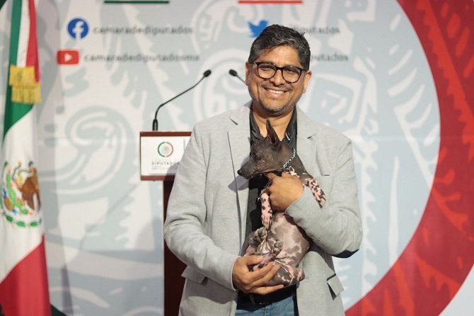 PROPONEN DECLARAR EL 1º DE MAYO COMO EL “DÍA NACIONAL DEL XOLOITZCUINTLE”