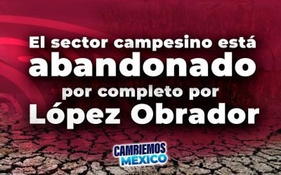 El sector campesino está abandonado por completo por López Obrador: Marko Cortés