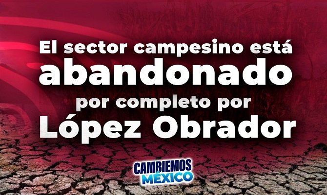 El sector campesino está abandonado por completo por López Obrador: Marko Cortés